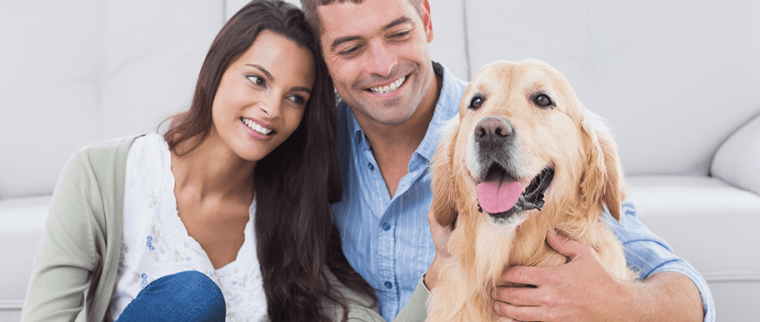 chien famille